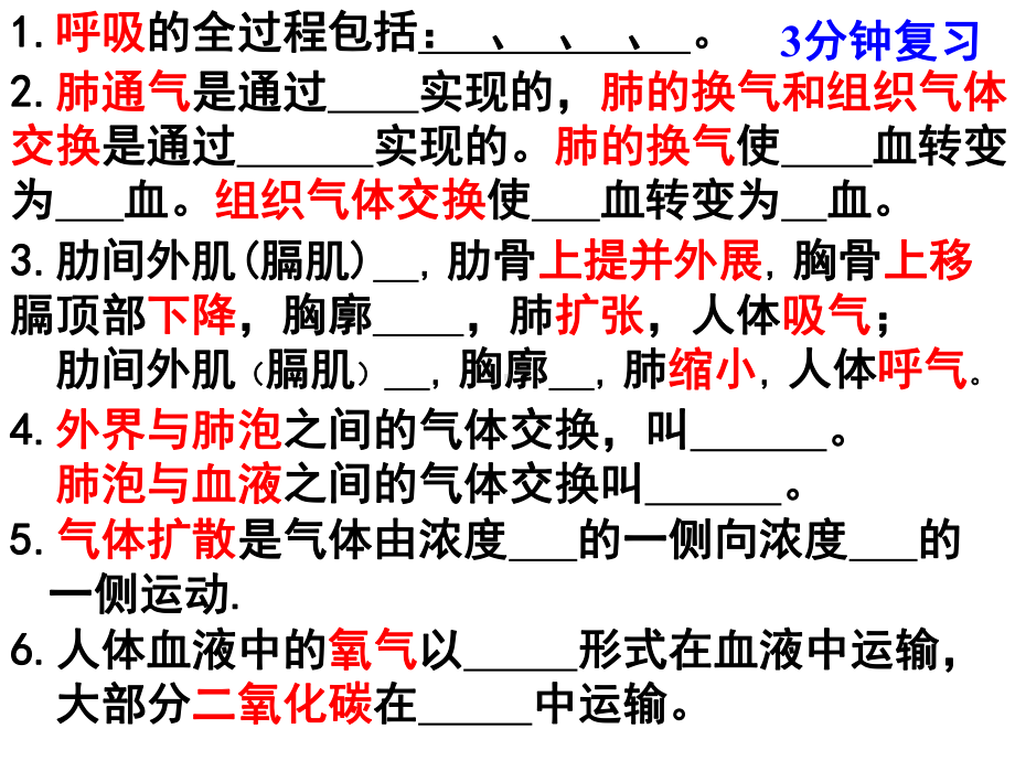 肾脏的结构 初一生物课件教案 北师大版.ppt_第3页