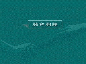 胸部体格检查课件2.ppt