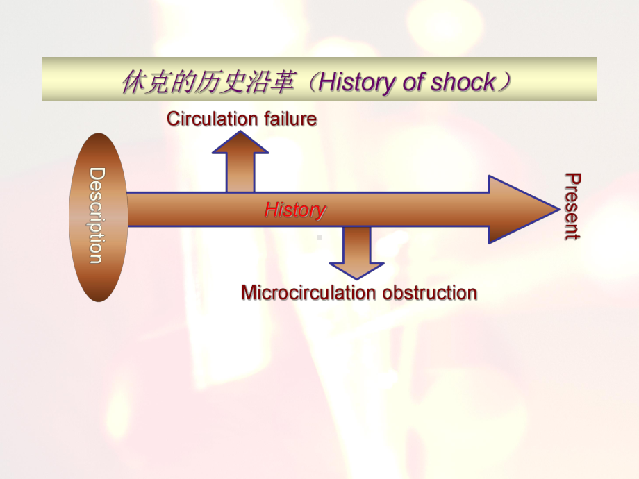 休克游浩元课件.ppt_第2页