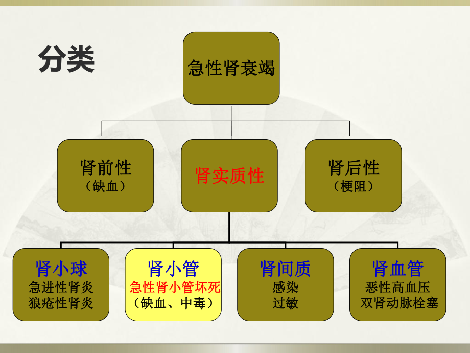 急性肾功能衰竭课件讲义.ppt_第3页