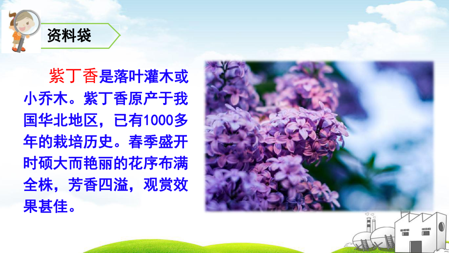 丁香结教学讲解课件2.ppt_第3页