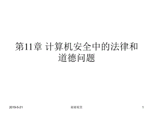 第11章计算机安全中的法律和道德问题课件.ppt