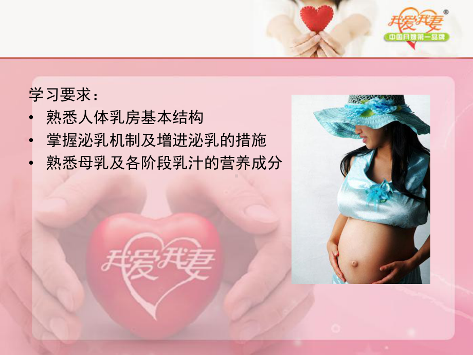 二人体乳房与泌乳的过程(初)分析课件.ppt_第3页