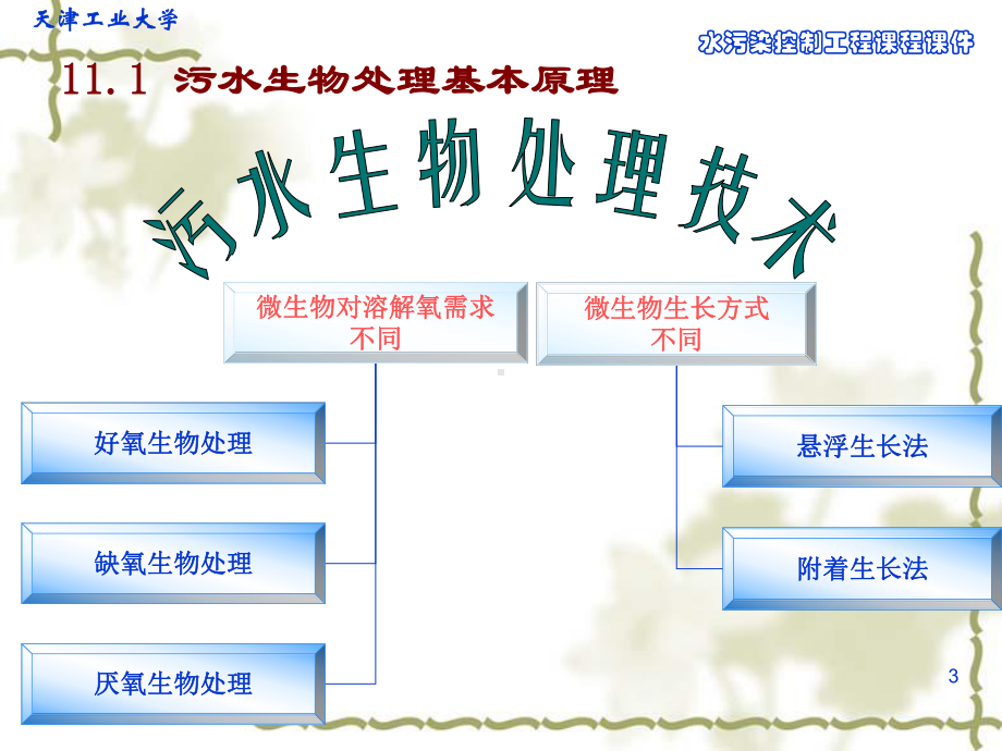 第十一章污水生物处理的基本概念和生化反应动力学基础要点课件.ppt_第3页