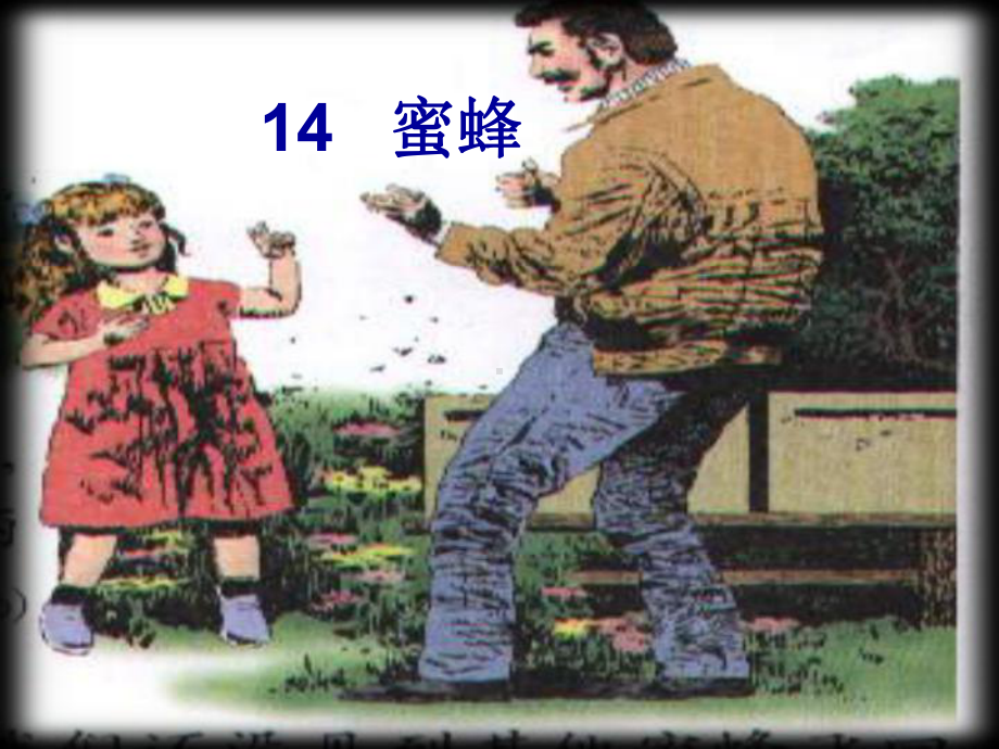 人教版小学三年级语文上册14《蜜蜂》00919课件.ppt_第2页