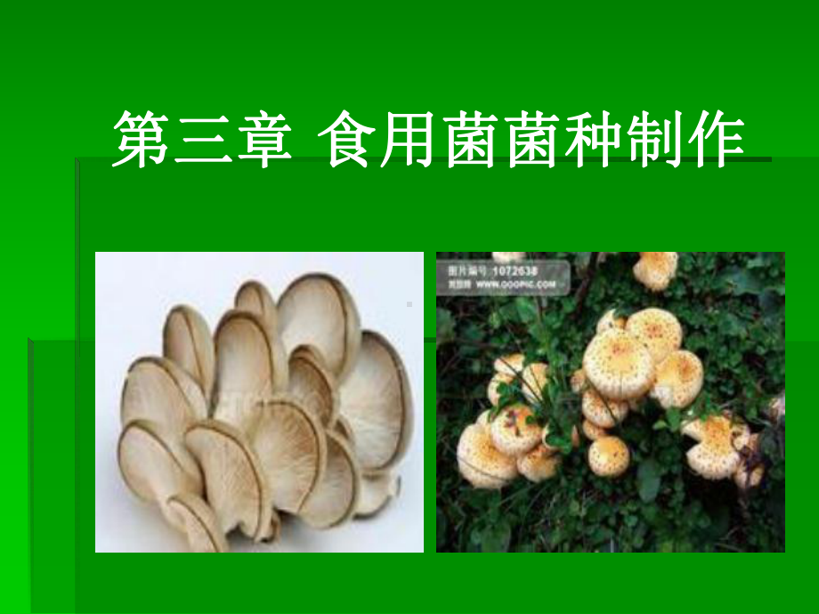 第三章食用菌菌种制作课件.ppt_第1页