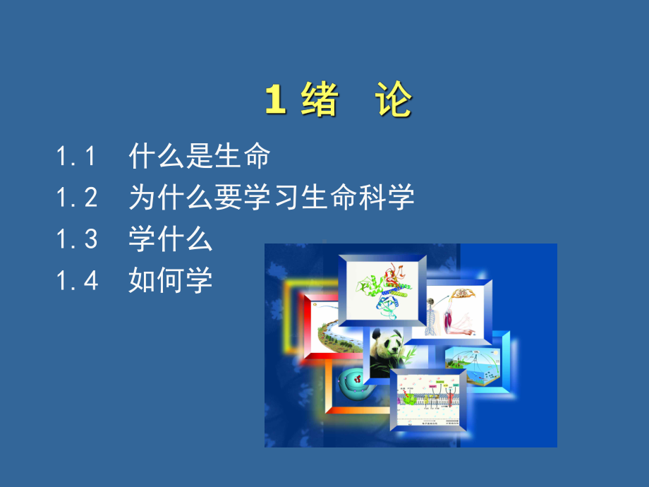 生物学基础01绪论课件.ppt_第1页