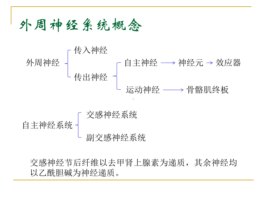 第三章外周神经系统用药课件.ppt_第2页