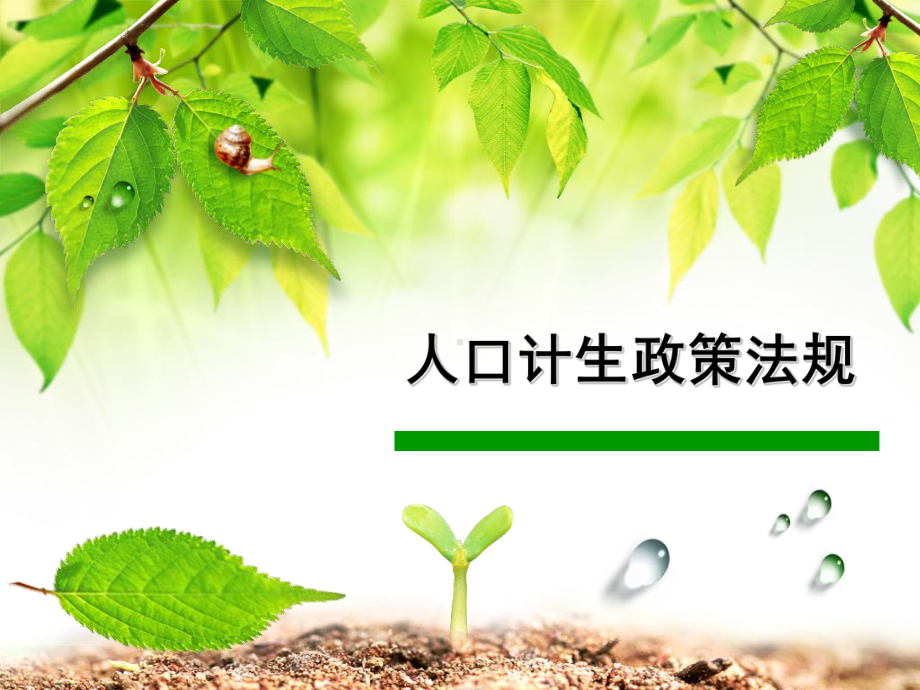 人口计生政策法规课件.ppt_第1页