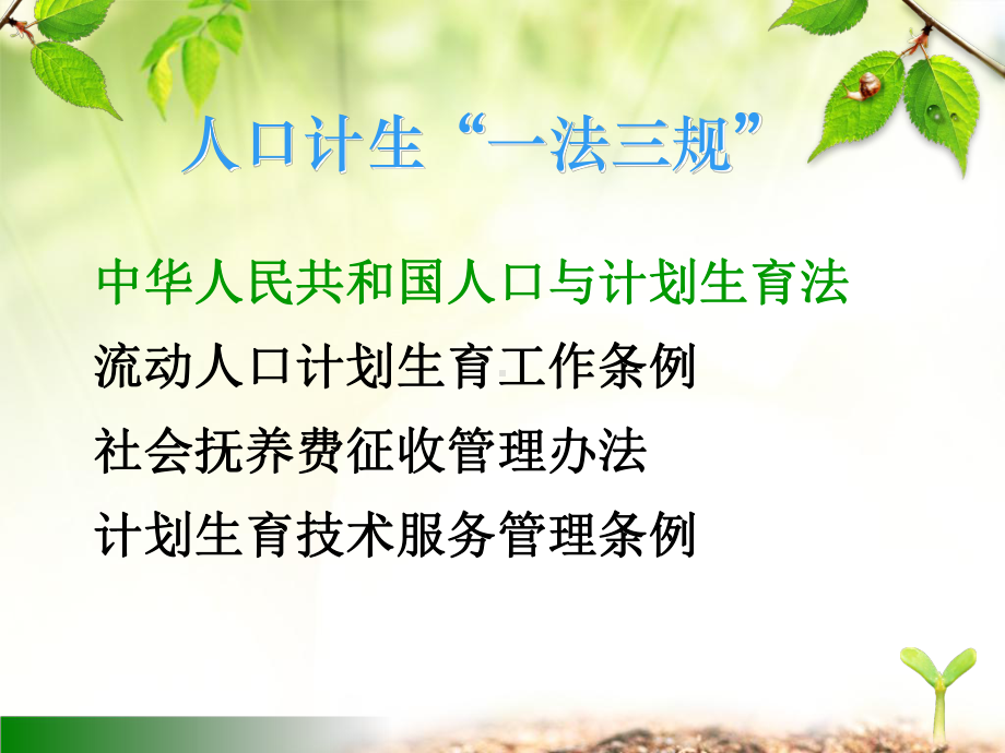 人口计生政策法规课件.ppt_第2页