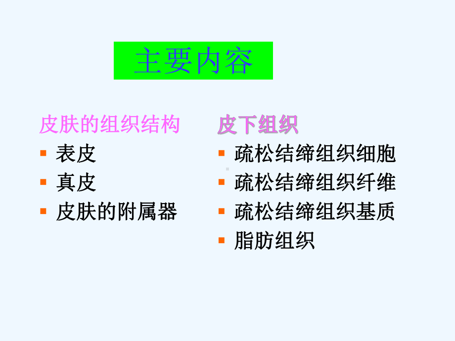 第十七章体被系统课件.ppt_第2页