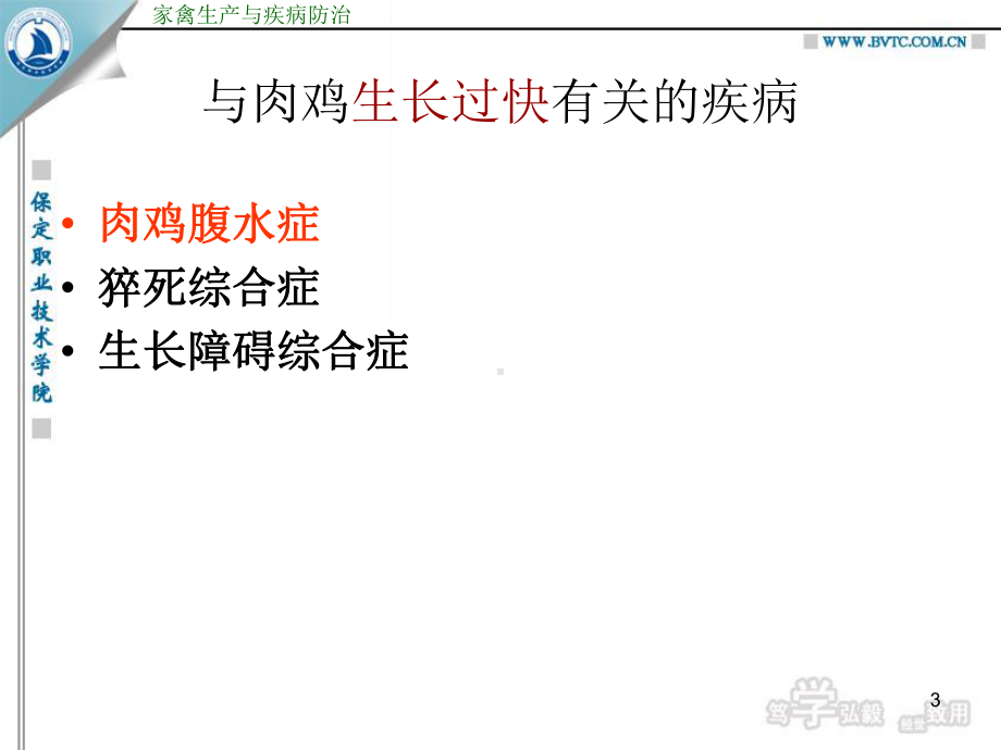 任务二肉鸡常见病防治课件.ppt_第3页