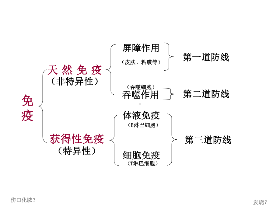 模块三(第三章中老年食品保健)课件.ppt_第2页