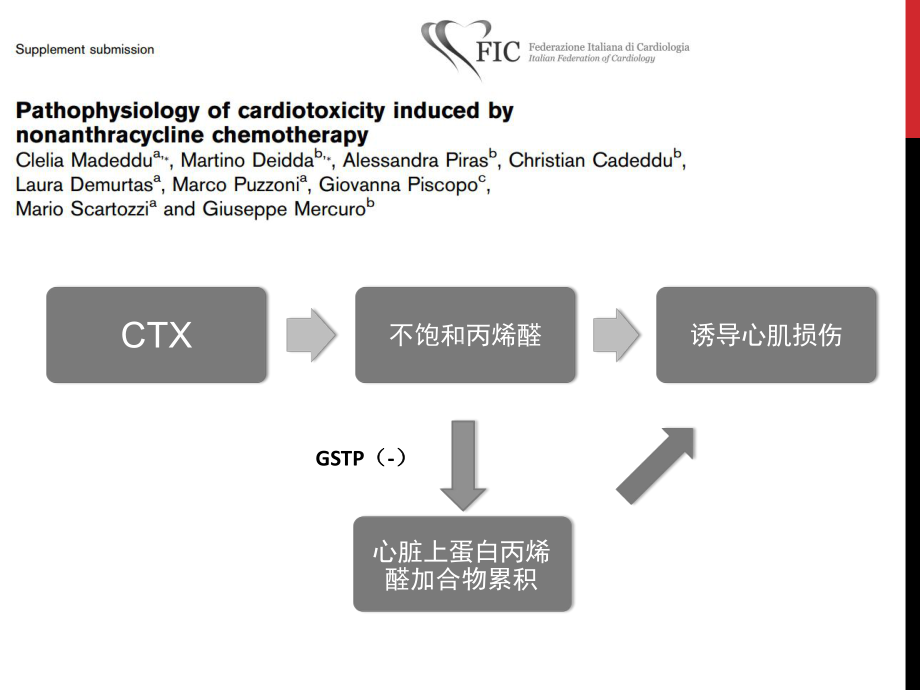 基因多态性与环磷酰胺方案.ppt_第3页