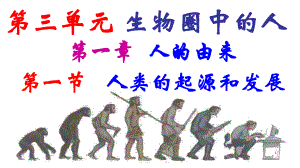 人教版生物七下《人的起源和发展》课件.ppt