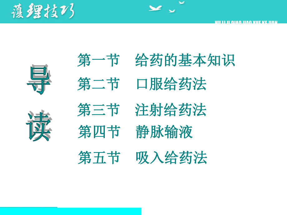 给药护理课件.ppt_第2页