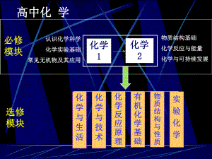 树状分类法课件.ppt