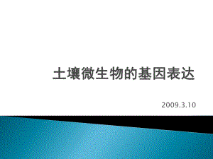 土壤微生物基因表达的研究课件.ppt