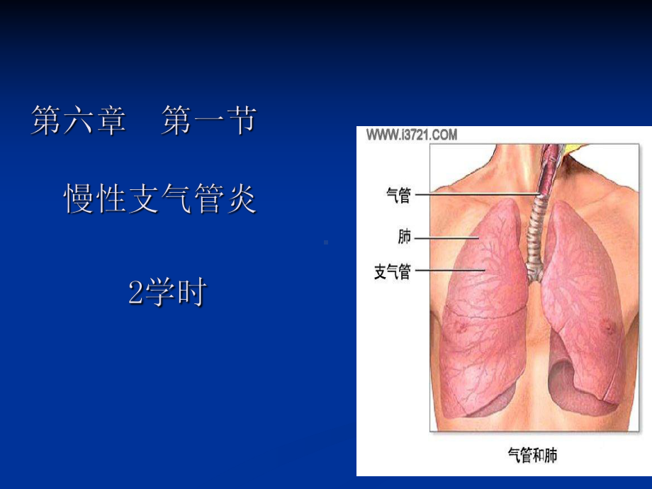 第六章第一节慢性支气管炎课件.ppt_第1页