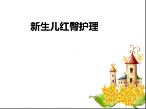 新生儿红臀护理 课件.ppt