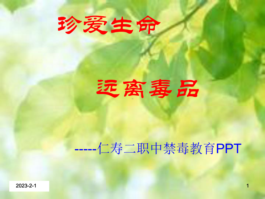 仁寿二职中禁毒教育课件.ppt_第1页