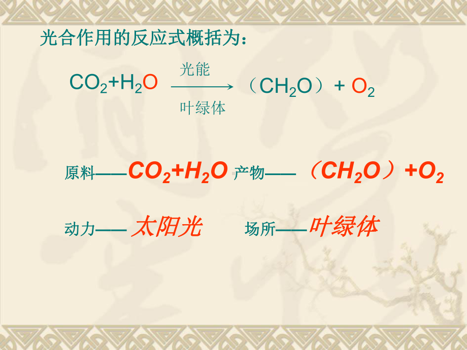 光合作用效率与光照强度牡丹江一中课件.ppt_第3页