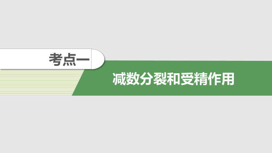 人教版高中生物一轮复习课件-减数分裂和受精作用.pptx_第2页