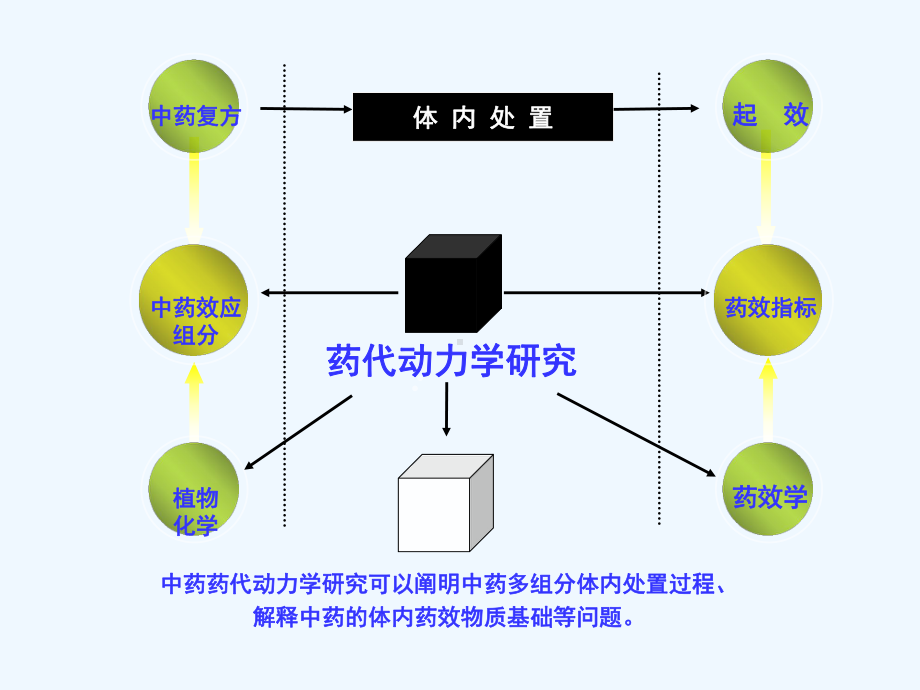 临床药代动力学及相关问题讲义课件.ppt_第2页