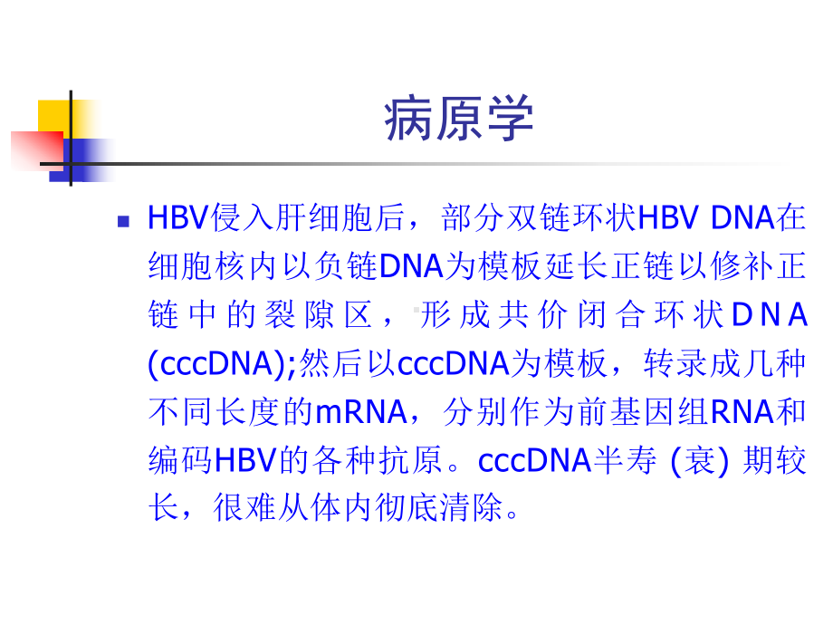 慢乙肝诊治课件.ppt_第3页