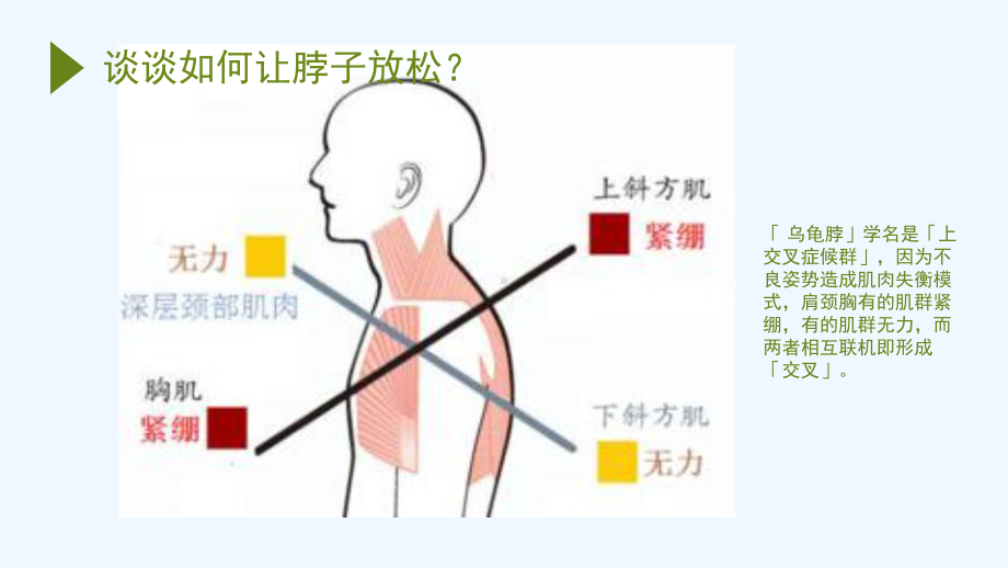 深度分析乌龟脖(颈椎病运动康复)课件.pptx_第3页