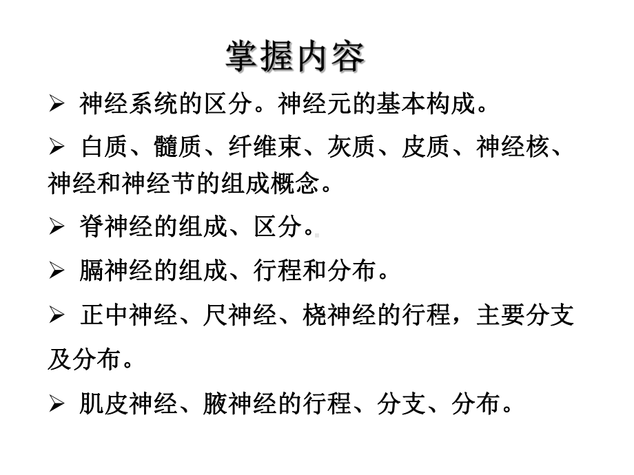 周围神经系统课件讲义.ppt_第2页