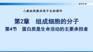 人教版新教材高中生物必修一优质课件-第二章-组成细胞的分子-第四节-蛋白质是生命活动的主要承担者.pptx