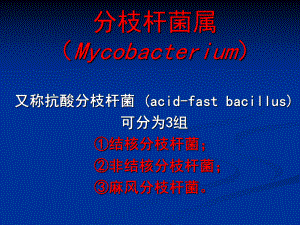 支杆菌属、放线菌属与诺卡菌属课件.ppt
