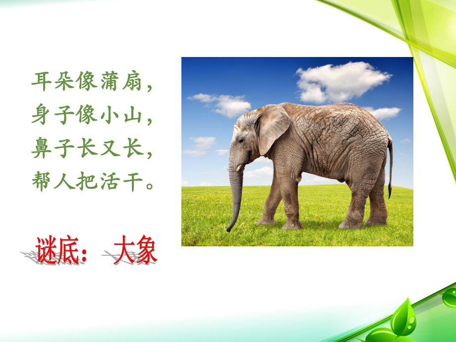 给动物画像教学课件.ppt_第3页