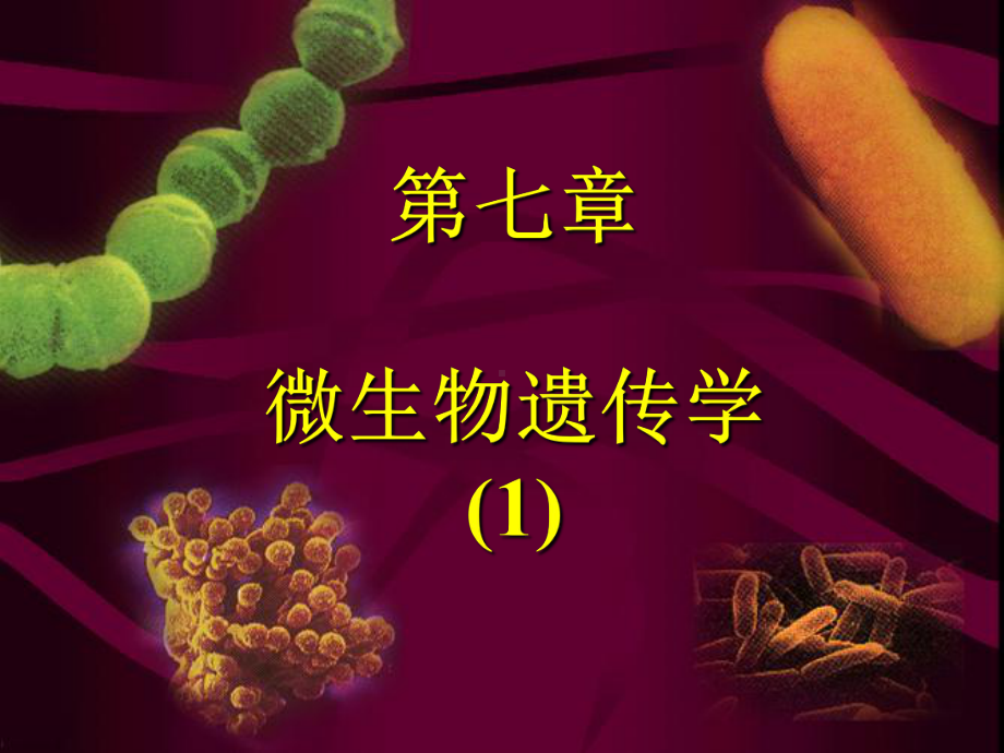 第十九单元第七章微生物遗传学(一)课件.ppt_第1页