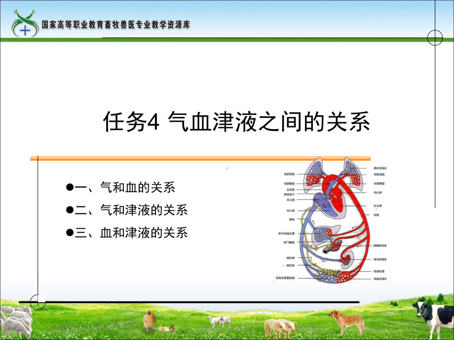 任务4气血津液之间的关系重点课件.ppt_第1页