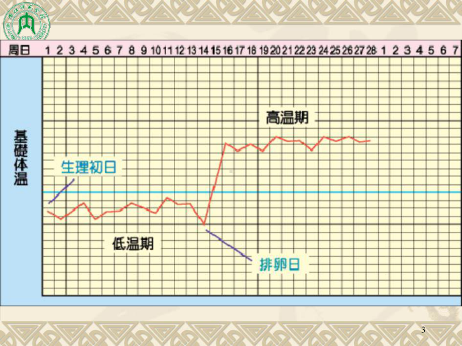 第八章孕期保健、营养与优生课件.ppt_第3页