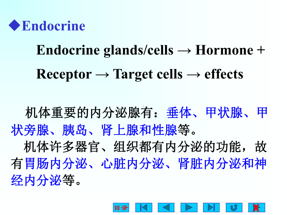 内分泌(卓越班)课件.ppt_第3页