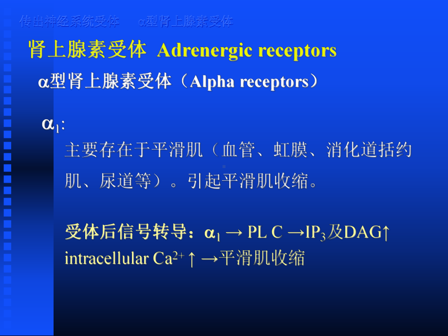 药理学第章拟抗肾上腺素药（ X页）课件.ppt_第3页