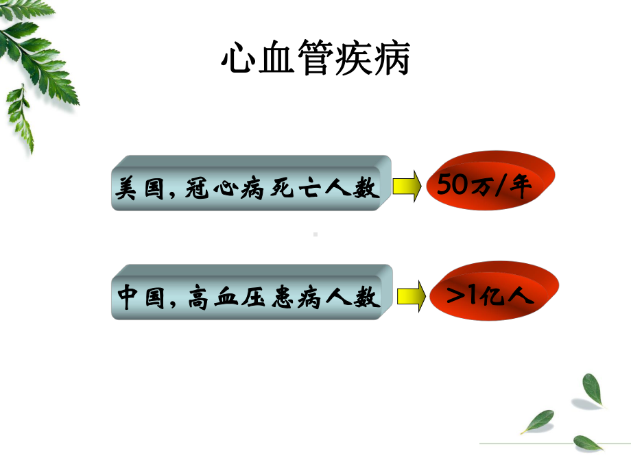 生理学课件-心力衰竭.ppt_第3页