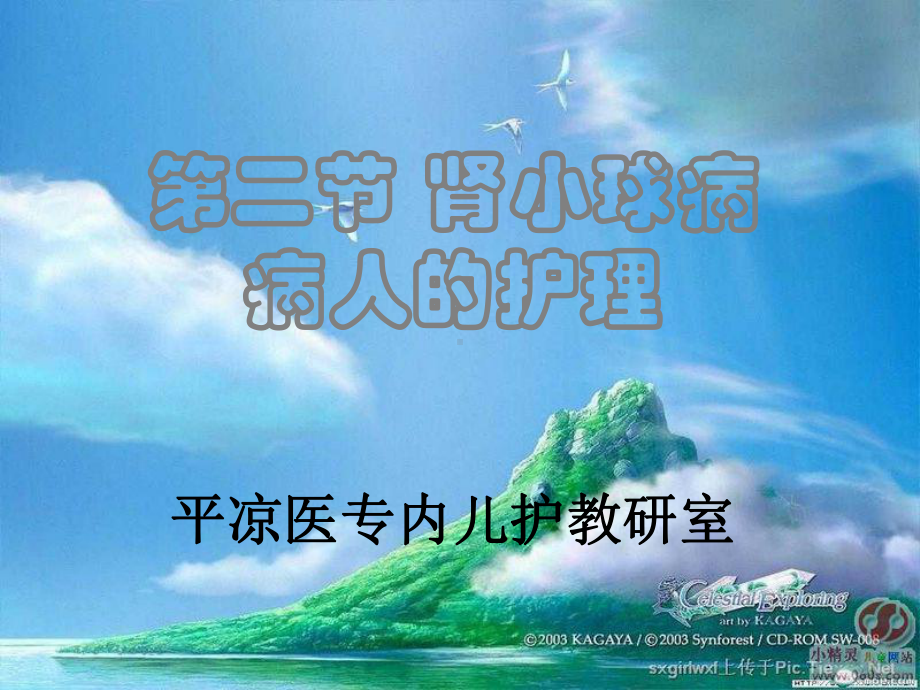 第二节 肾小球病病人的护理(31)课件.ppt_第1页