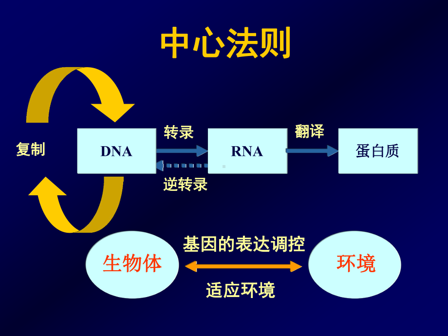 基因重组与基因工程概述课件.ppt_第2页