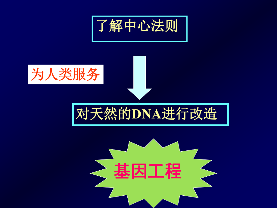 基因重组与基因工程概述课件.ppt_第3页