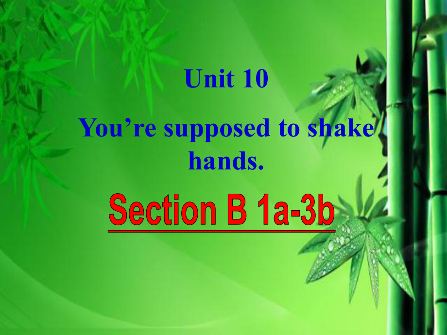 人教版九年级英语全一册-Unit10-You're-supposed-to-shake-hands-B1课件.ppt（纯ppt,可能不含音视频素材）_第1页