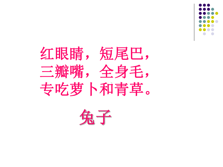 语文《小白兔和小灰兔》课件.ppt_第1页