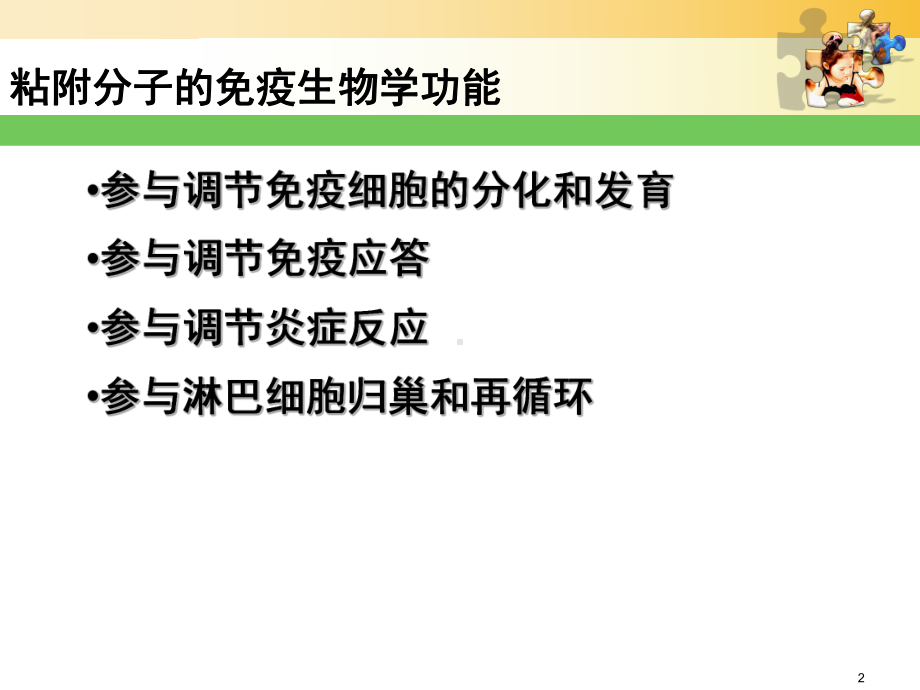 主要组织相容性复合体与其编码分子C课件.ppt_第2页