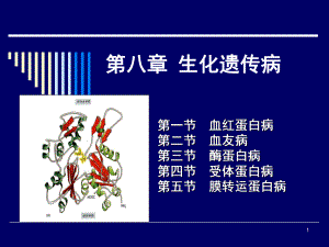 人类疾病的分子遗传学课件.ppt