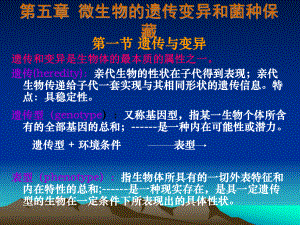 第五章微生物的遗传变异课件.ppt