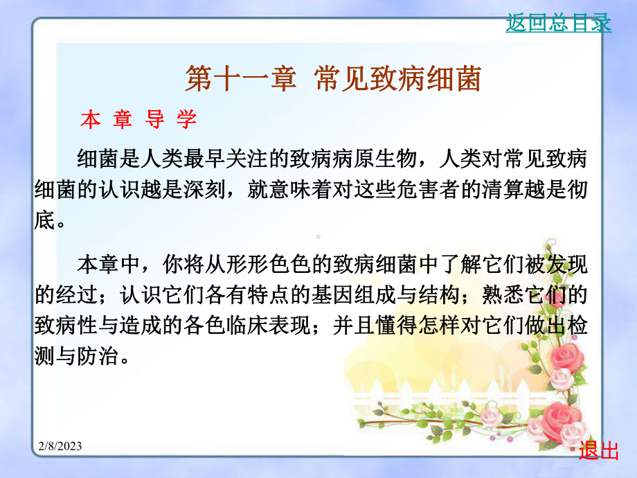 第十一章常见致病细菌课件.ppt_第2页