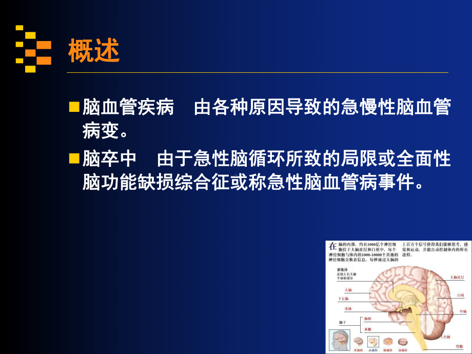 神经病学讲稿第五讲课件.ppt_第3页